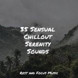 35 Sensual Chillout Serenity Sounds