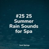 #25 25 Summer Rain Sounds for Spa
