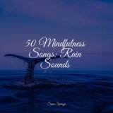 50 Mindfulness Songs: Rain Sounds