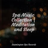 Spa Music Collection | Meditation and Sleep