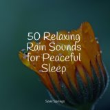 50 Relaxing Rain Sounds for Peaceful Sleep