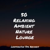 50 Relaxing Ambient Nature Lounge