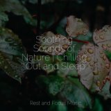 Soothing Sounds of Nature | Chilling Out and Sleep