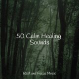 50 Calm Healing Sounds
