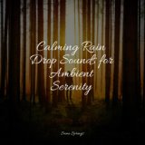 Calming Rain Drop Sounds for Ambient Serenity
