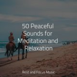 50 Peaceful Sounds for Meditation and Relaxation