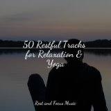 50 Restful Tracks for Relaxation & Yoga