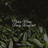 Nature Music - Rainy Rainforest
