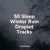 50 Sleep Winter Rain Droplet Tracks