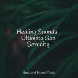 Healing Sounds | Ultimate Spa Serenity