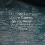Ultimate Rain & Nature Sounds - Stress Relief and Peaceful Sleep