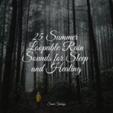 25 Summer Loopable Rain Sounds for Sleep and Healing