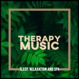 Therapy Music: Sleep, Relaxation and Spa