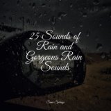 25 Sounds of Rain and Gorgeous Rain Sounds