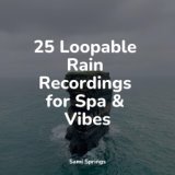 25 Loopable Rain Recordings for Spa & Vibes