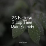 25 Natural Sleep Time Rain Sounds