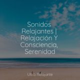 Sonidos Relajantes | Relajación Y Consciencia, Serenidad