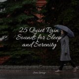 25 Quiet Rain Sounds for Sleep and Serenity