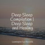 Deep Sleep Compilation | Deep Sleep and Healing