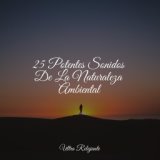 25 Potentes Sonidos De La Naturaleza Ambiental