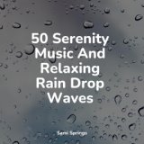 50 Serenity Music And Relaxing Rain Drop Waves