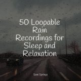 50 Loopable Rain Recordings for Sleep and Relaxation