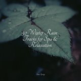 50 Winter Rain Tracks for Spa & Relaxation