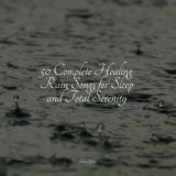 50 Loopable Rain Sounds for Sleep and Meditation