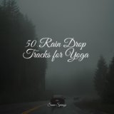 50 Rain Drop Tracks for Yoga