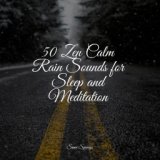50 Zen Calm Rain Sounds for Sleep and Meditation