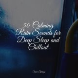 50 Calming Rain Sounds for Deep Sleep and Chillout