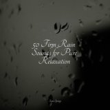 50 Firm Rain Sounds for Pure Relaxation