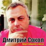 Дмитрий Сокол