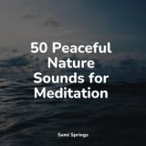 50 Peaceful Nature Sounds for Meditation