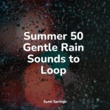 Summer 50 Gentle Rain Sounds to Loop