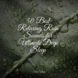 50 Best Relaxing Rain Sounds for Ultimate Deep Sleep