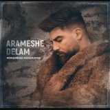 Arameshe Delam