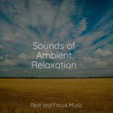 Sounds of Ambient Relaxation