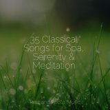35 Classical Songs for Spa, Serenity & Meditation