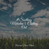 #Soothing Melodies | Chilling Out