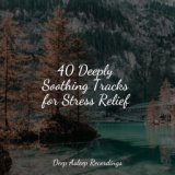 40 Deeply Soothing Tracks for Stress Relief