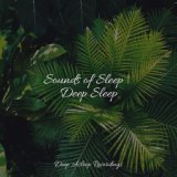 Sounds of Sleep | Deep Sleep