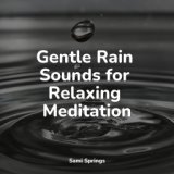 Gentle Rain Sounds for Relaxing Meditation