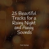 25 Beautiful Tracks for a Rainy Night and Away Sounds