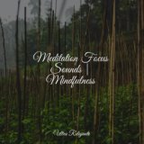 Meditation Focus Sounds | Mindfulness