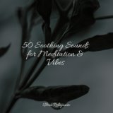 50 Soothing Sounds for Meditation & Vibes