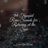 35 Tranquil Rain Sounds for Relaxing at the Spa