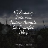 40 Summer Rain and Nature Sounds for Peaceful Sleep