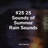 #25 25 Sounds of Summer Rain Sounds