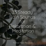 35 Steady Rain Sounds for Relaxation & Meditation